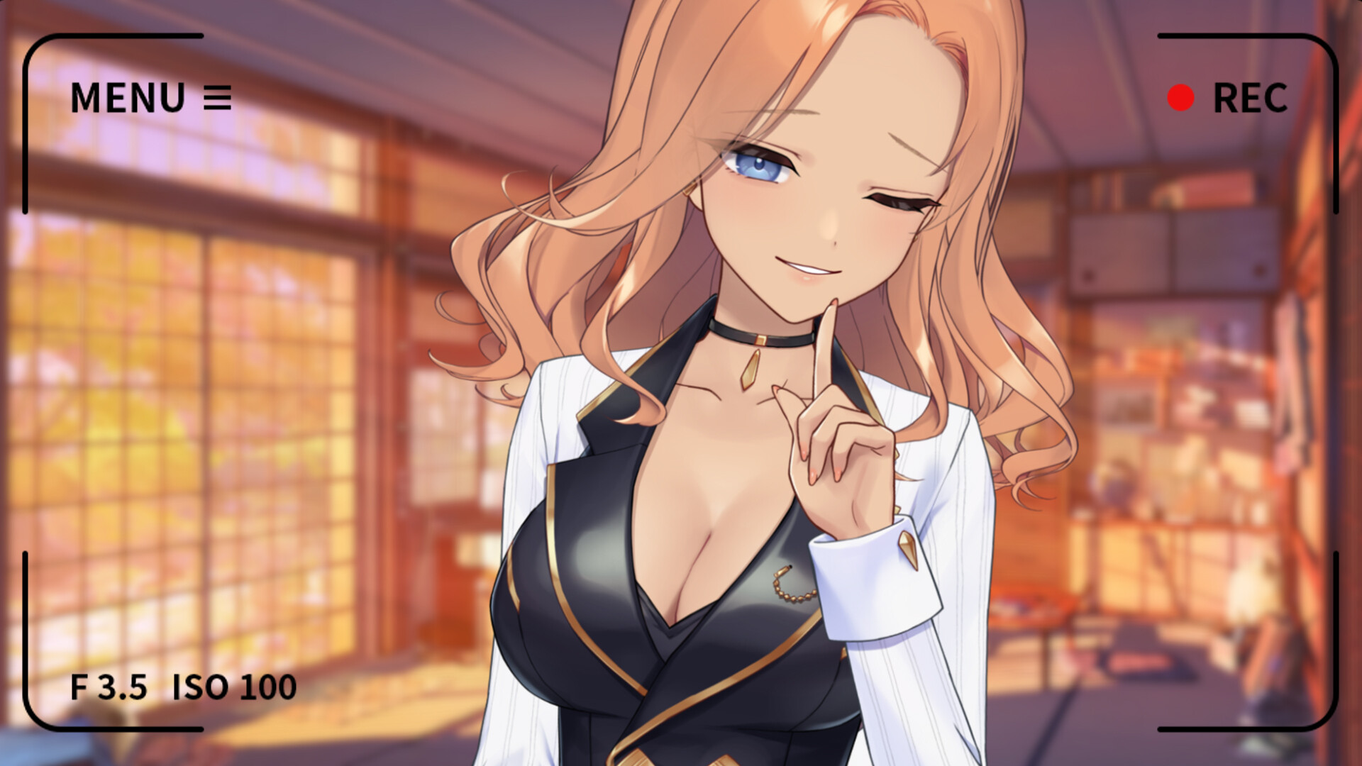 你的另一个老婆/Your Another Wife